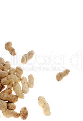 peanuts on the white