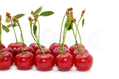 cherries