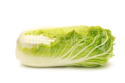 Chinese cabbage