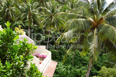 Balcony with flowers of luxury hotel with a view on coconut palm