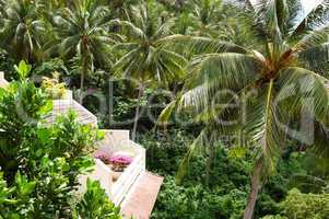 Balcony with flowers of luxury hotel with a view on coconut palm