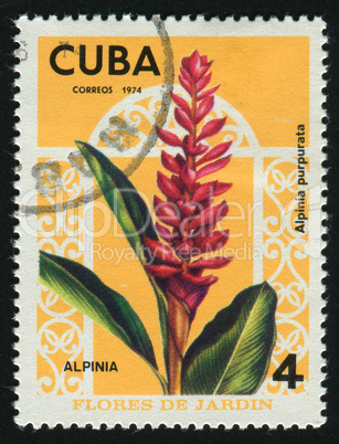 postage stamp