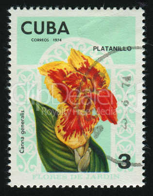 postage stamp