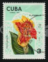 postage stamp