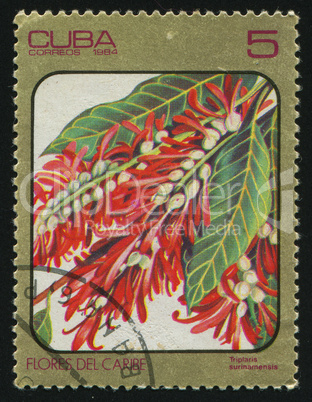 postage stamp