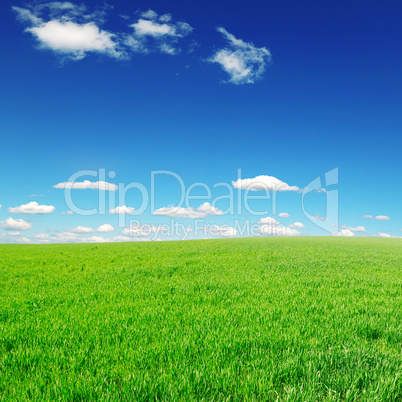 meadow and blue sky