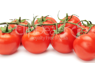 red tomatoes