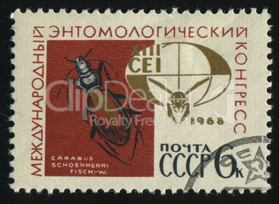 postage stamp