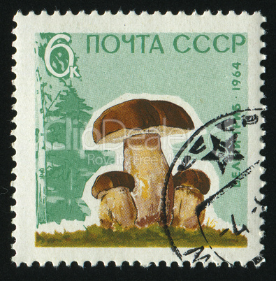 postage stamp