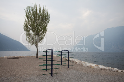 einzelner Baum am Gardasee in Italien an einem ruhigen Tag