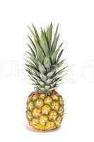 Baby pineapple