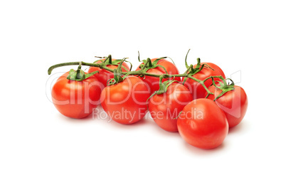 red tomatoes