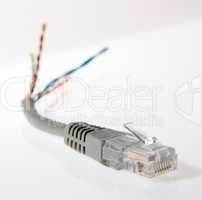 torn network cable closeup, patch cable on the white