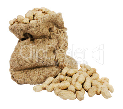 peanuts in a sack and spilled
