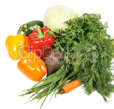 Fresh vegetables