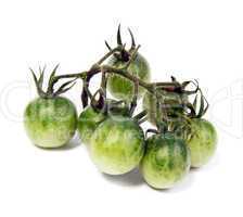 Bunch of green tomatoes