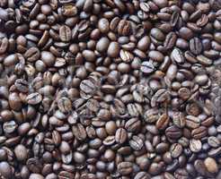 texture of Coffee beans, background