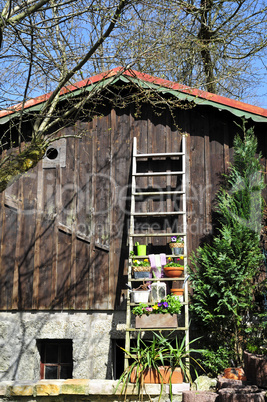 Gartenhütte mit vielen Pflanzen