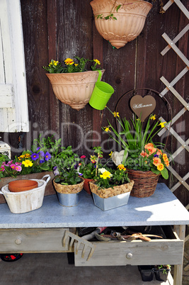 Pflanztisch im Garten