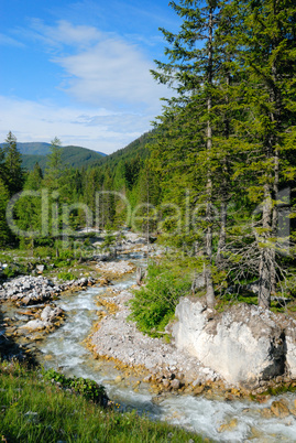 Wildbach in den Alpen