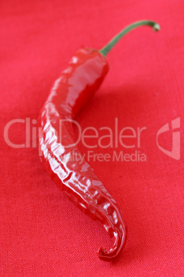 Rote Chili - Red Chilli