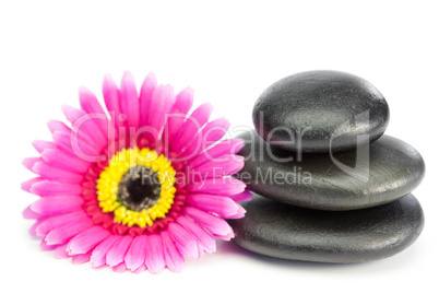 Pink and yellow flower and piled up pebbles