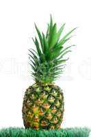 Pineapple on grass