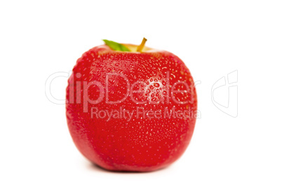 Red wet apple and its leaf