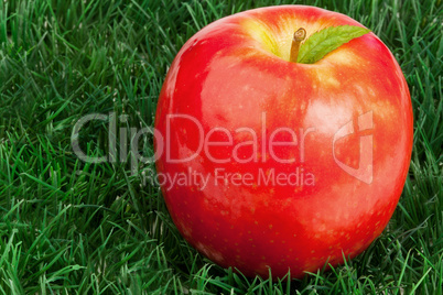 Red apple and its leaf on grass