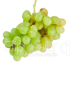 Aloft grapes