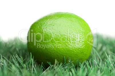 Green lemon on grass