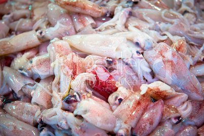 fresh squids at a fish market