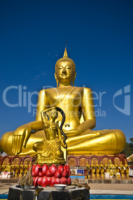 Golden buddha