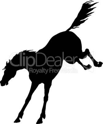 Pferd springend Silhouette