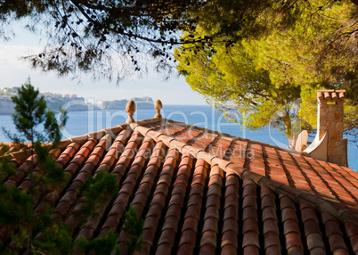 Mediterranean Terracotta roof