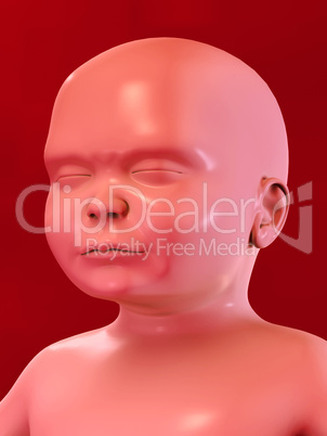 Baby im Bauch 3D