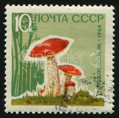 postage stamp