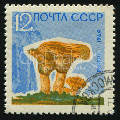 postage stamp