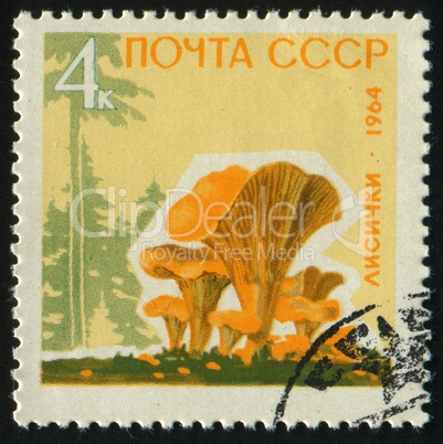 postage stamp