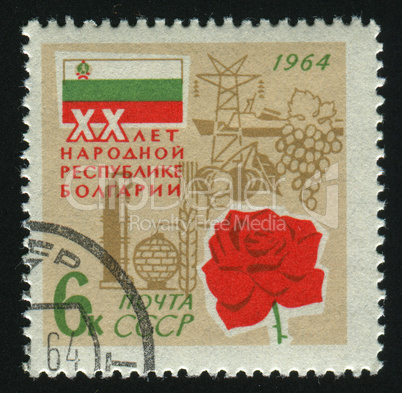 postage stamp