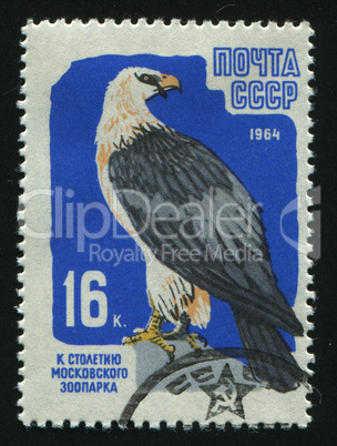 postage stamp