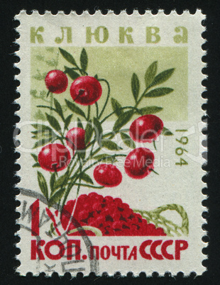 postage stamp