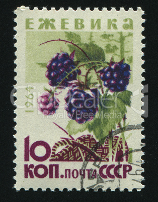 postage stamp