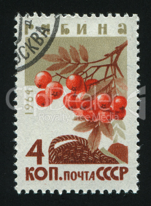 postage stamp