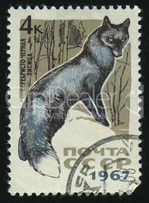 postage stamp