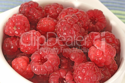 Reife Himbeeren