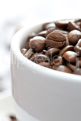 frische Kaffeebohnen / fresh coffee beans