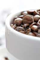 frische Kaffeebohnen / fresh coffee beans