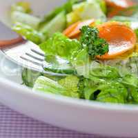 gemischter Salat / mixed salad