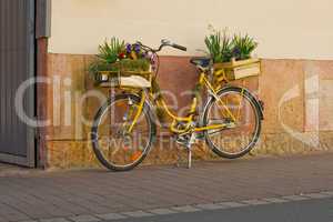 Fahrrad mit Blumen